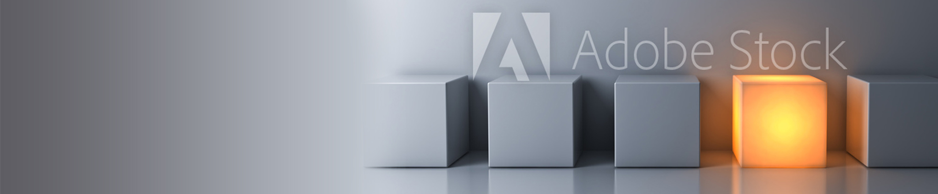 banner-06