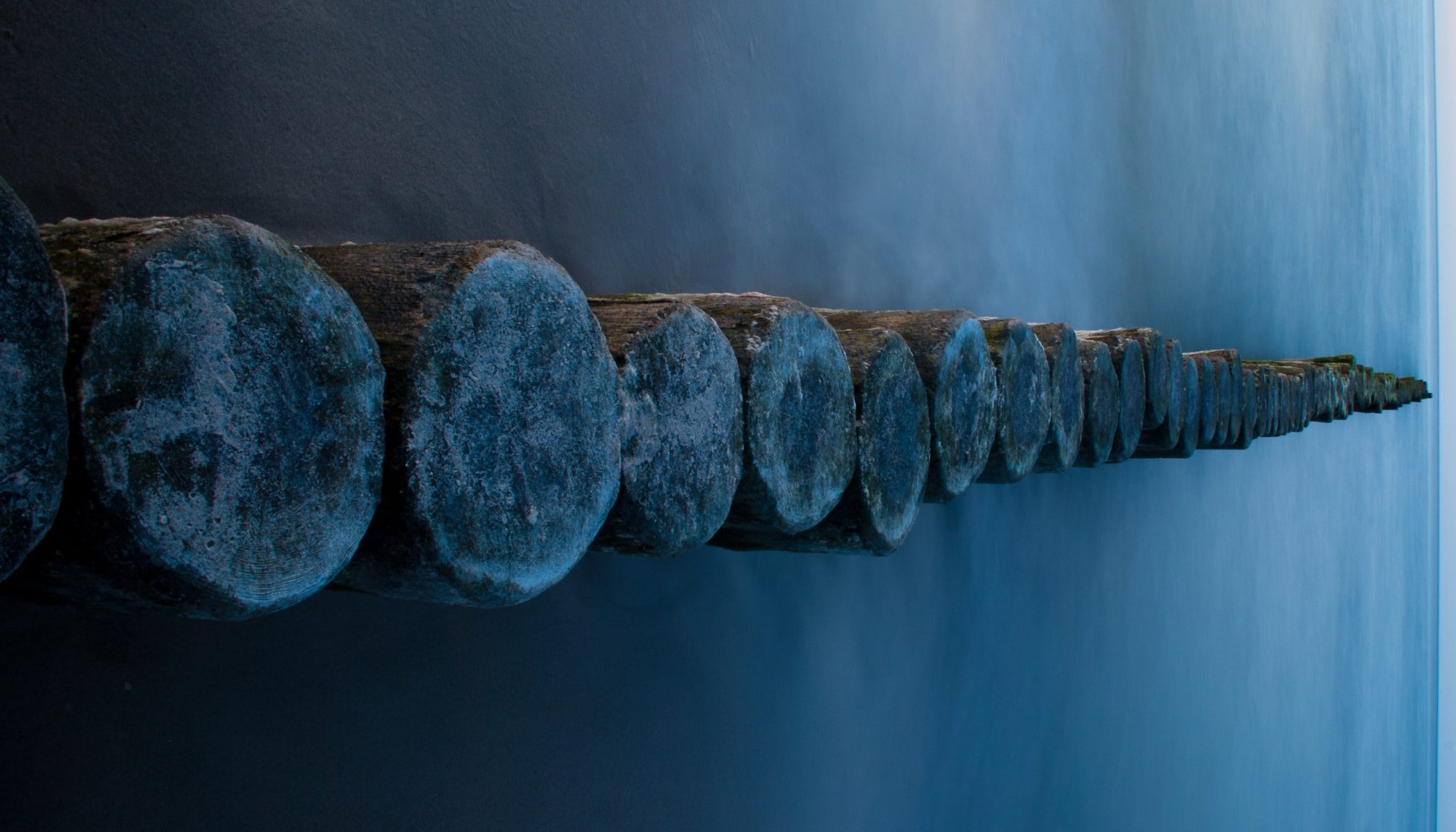 pexels-pixabay-54582