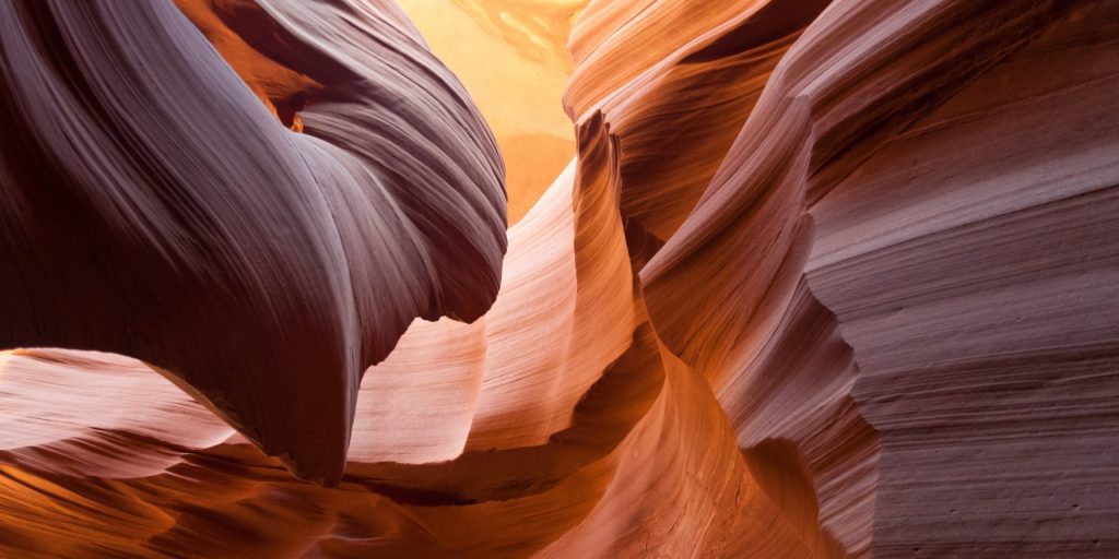 pexels-paul-ijsendoorn-33041-scaled-e1630213531704-1024×512