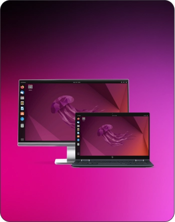 illus_linux_mdm_software-dcfaef2f6bacc542368c7b0d2bc55486f6b6c1ed9d334f063bac4c3e17e630b3